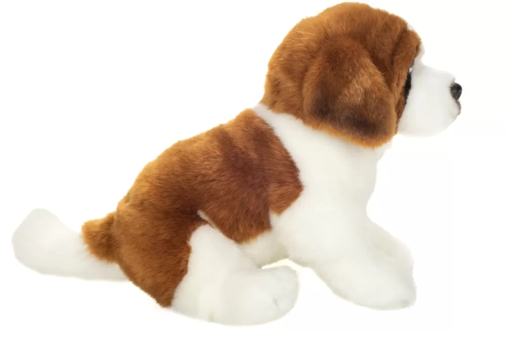 Albi | Saint Bernard>The Teddy Bear Shop New