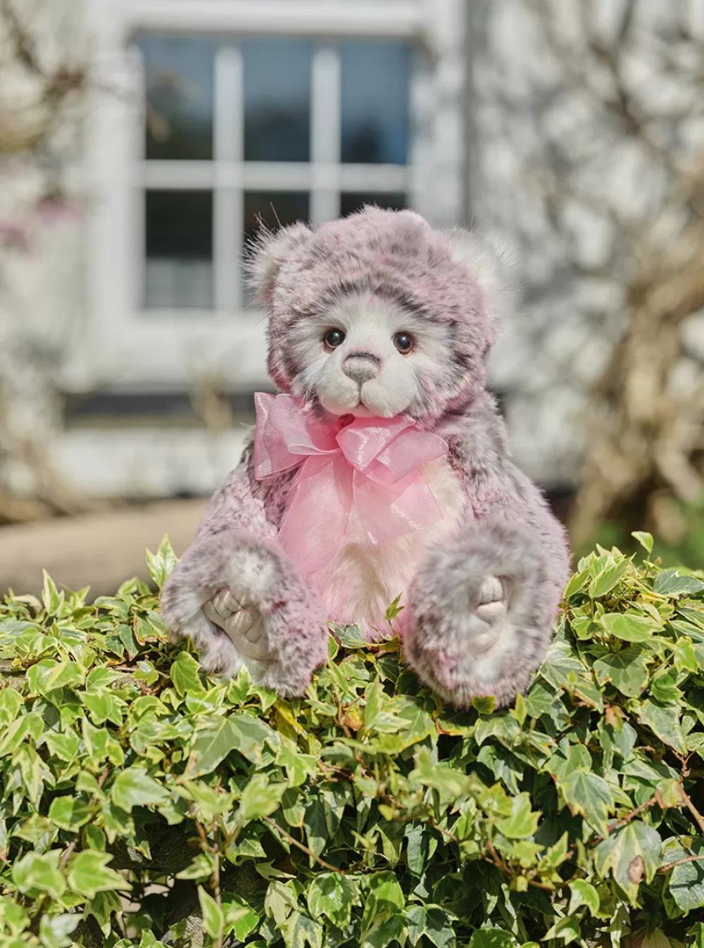 Amelie>The Teddy Bear Shop Online