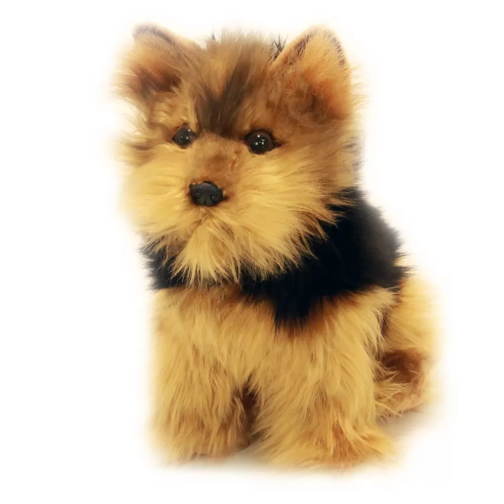 Archie | Australian Yorkshire Terrier>The Teddy Bear Shop Cheap