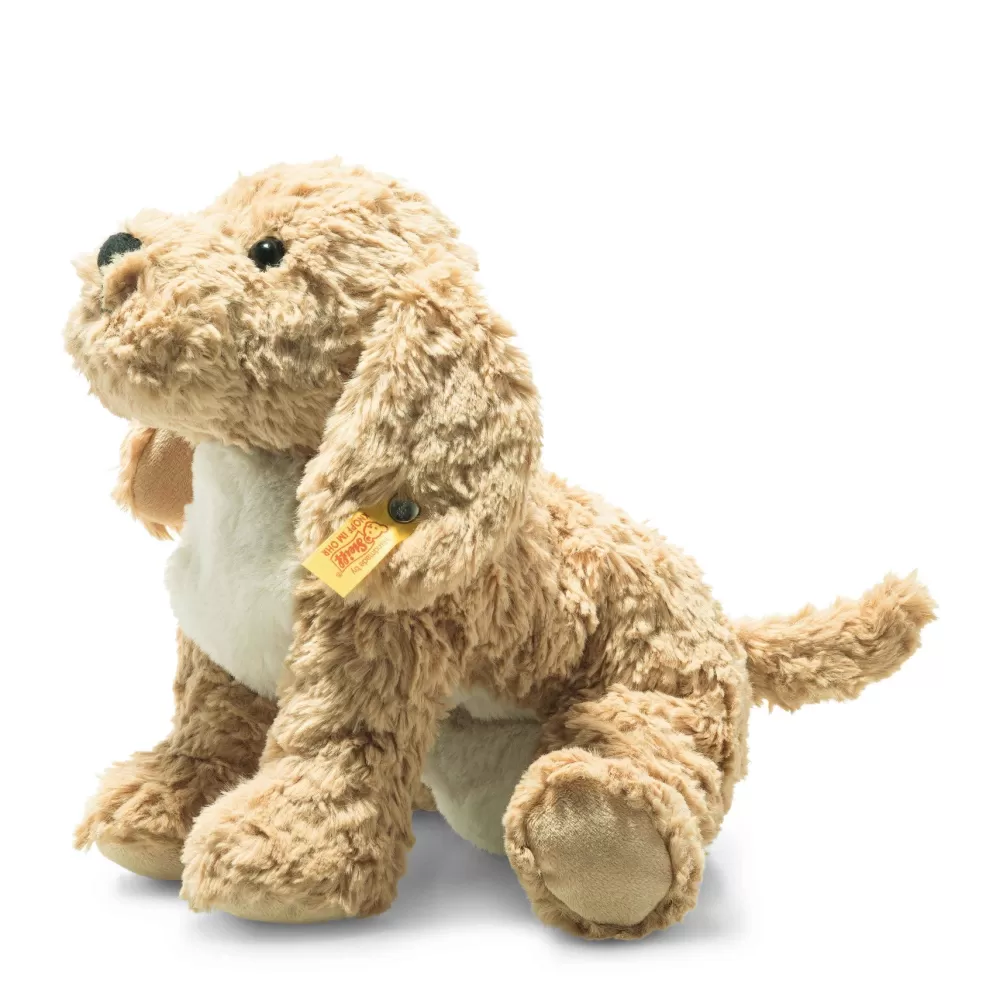 Berno | Goldendoodle Puppy>The Teddy Bear Shop Best