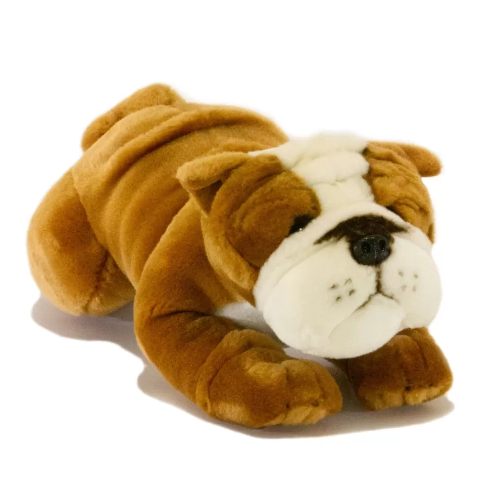 Brutus | Red and White Bulldog puppy>The Teddy Bear Shop Outlet