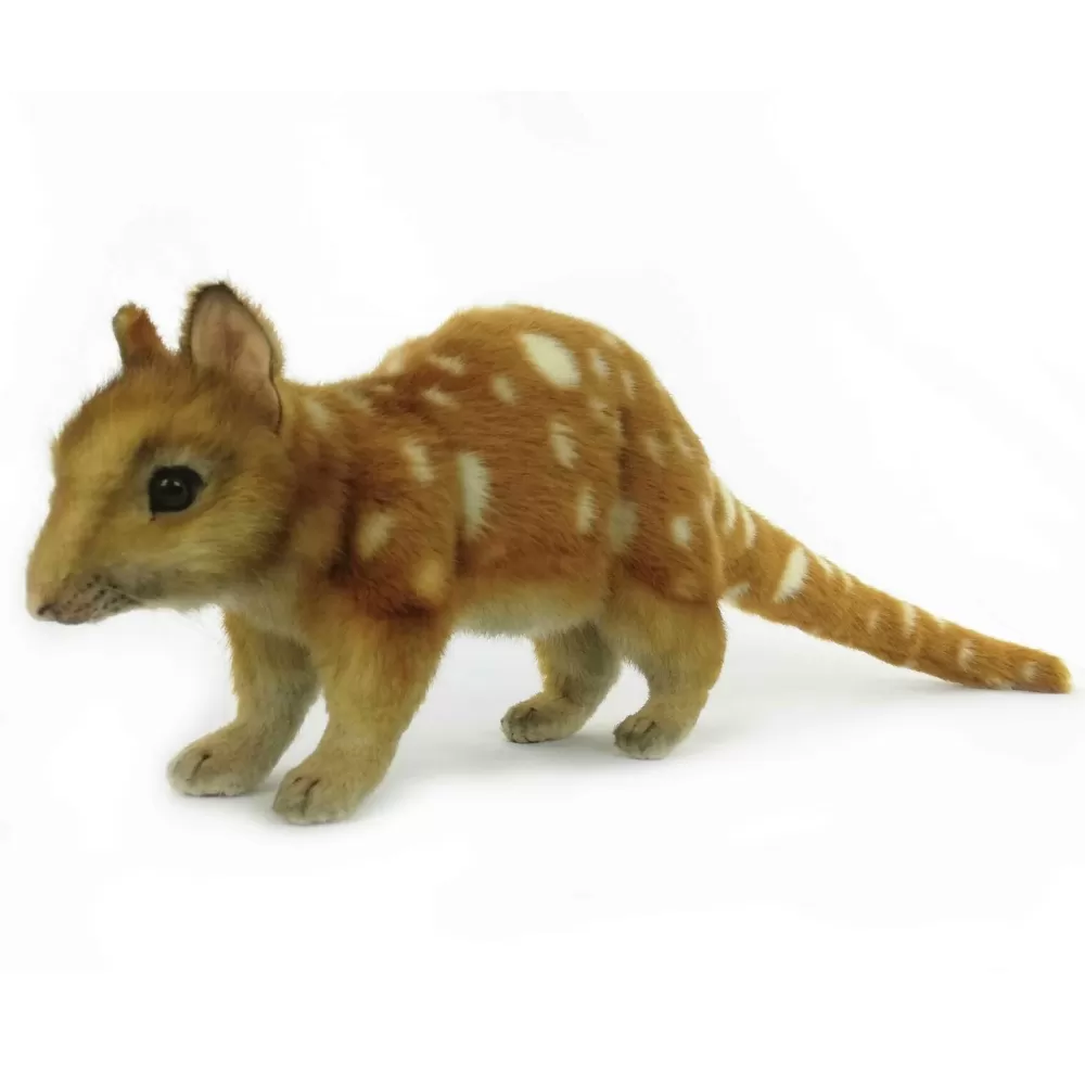 Coralie | Quoll>The Teddy Bear Shop Clearance