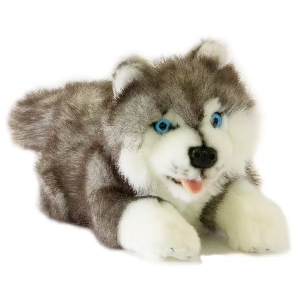 Marbles | Siberian Husky>The Teddy Bear Shop Sale