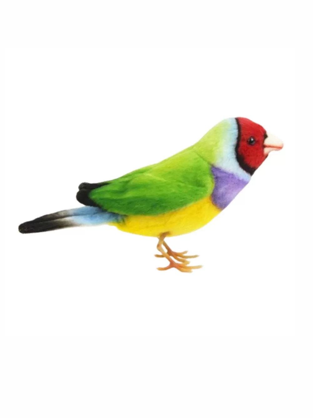 Mavis | Gouldian Finch>The Teddy Bear Shop Best