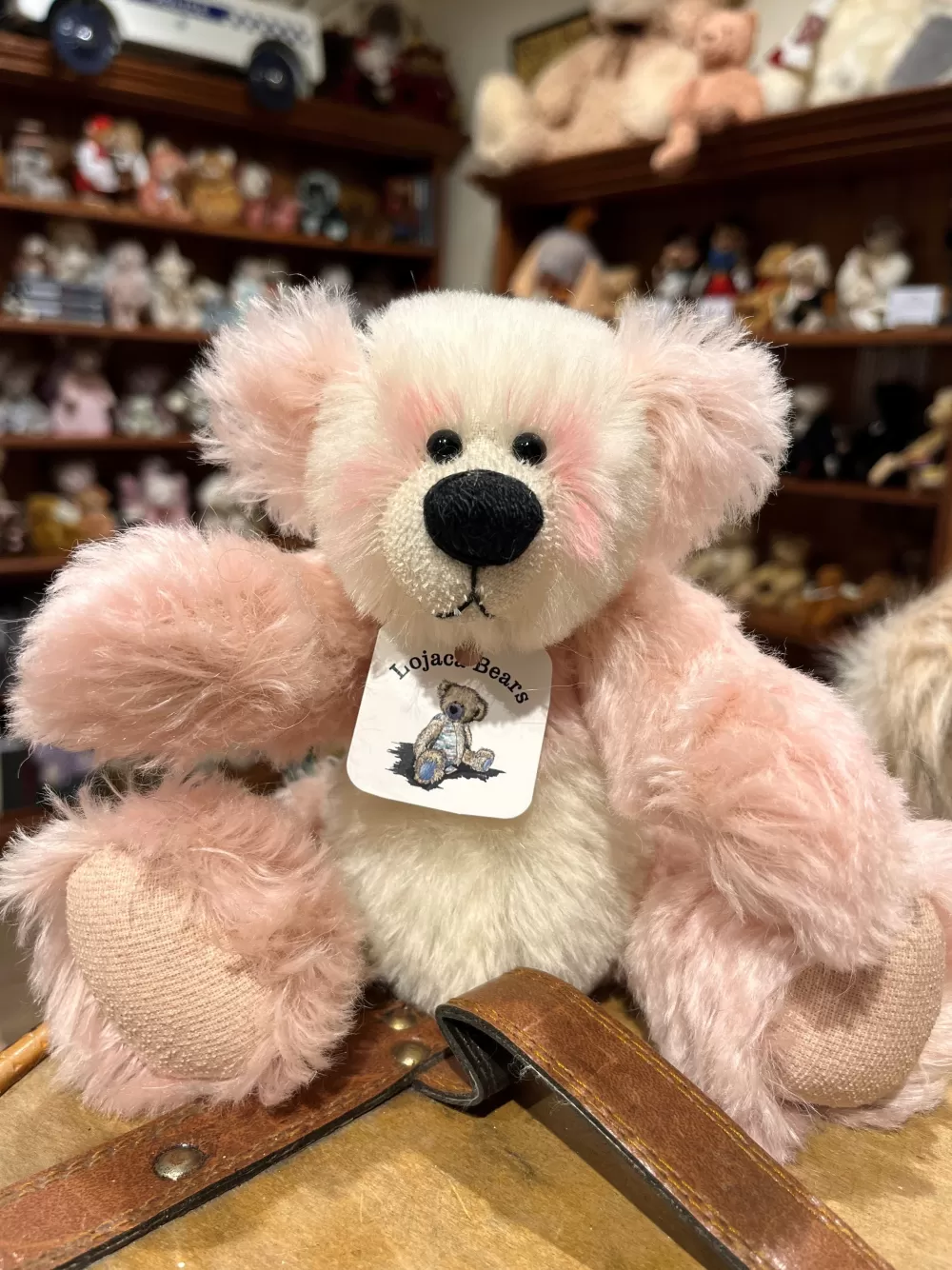 Nanook Handmade in Tasmania>The Teddy Bear Shop Cheap