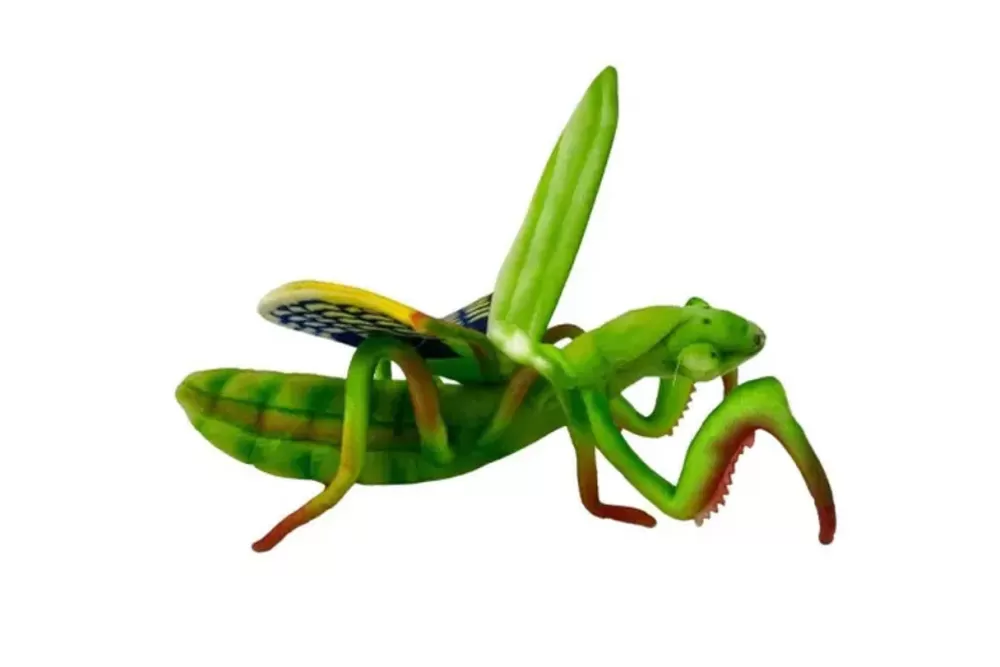 Percy | Praying Mantis>The Teddy Bear Shop Online