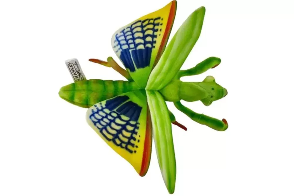 Percy | Praying Mantis>The Teddy Bear Shop Online