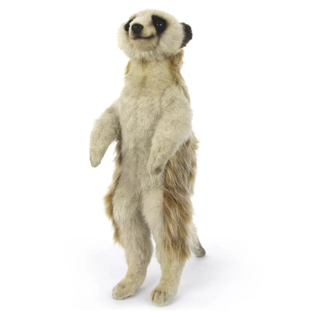 Philippe Meerkat>The Teddy Bear Shop Store