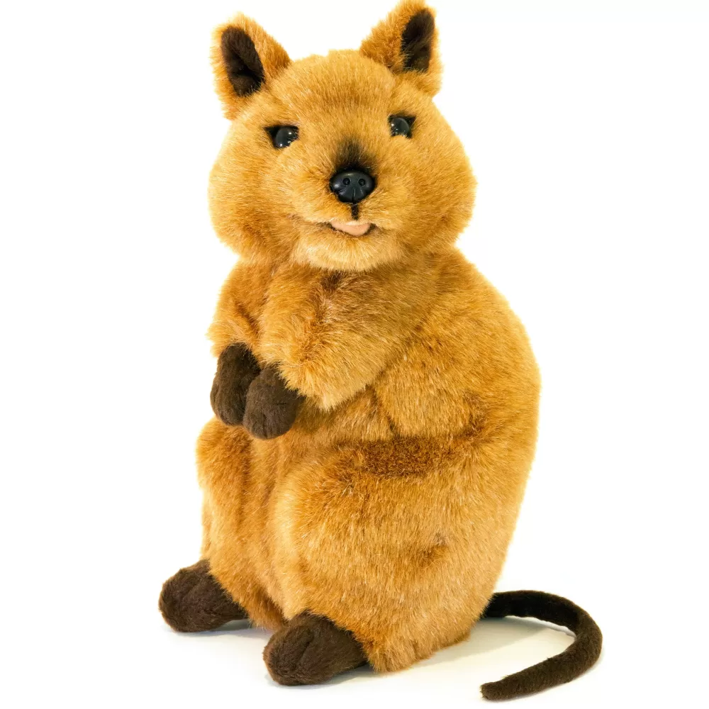 Roger | Quokka>The Teddy Bear Shop Sale