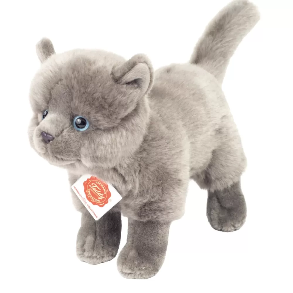 Smoky | Carthusian cat>The Teddy Bear Shop Cheap