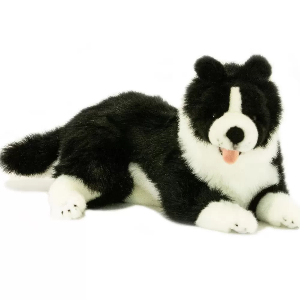 Starsky | Border Collie>The Teddy Bear Shop Sale