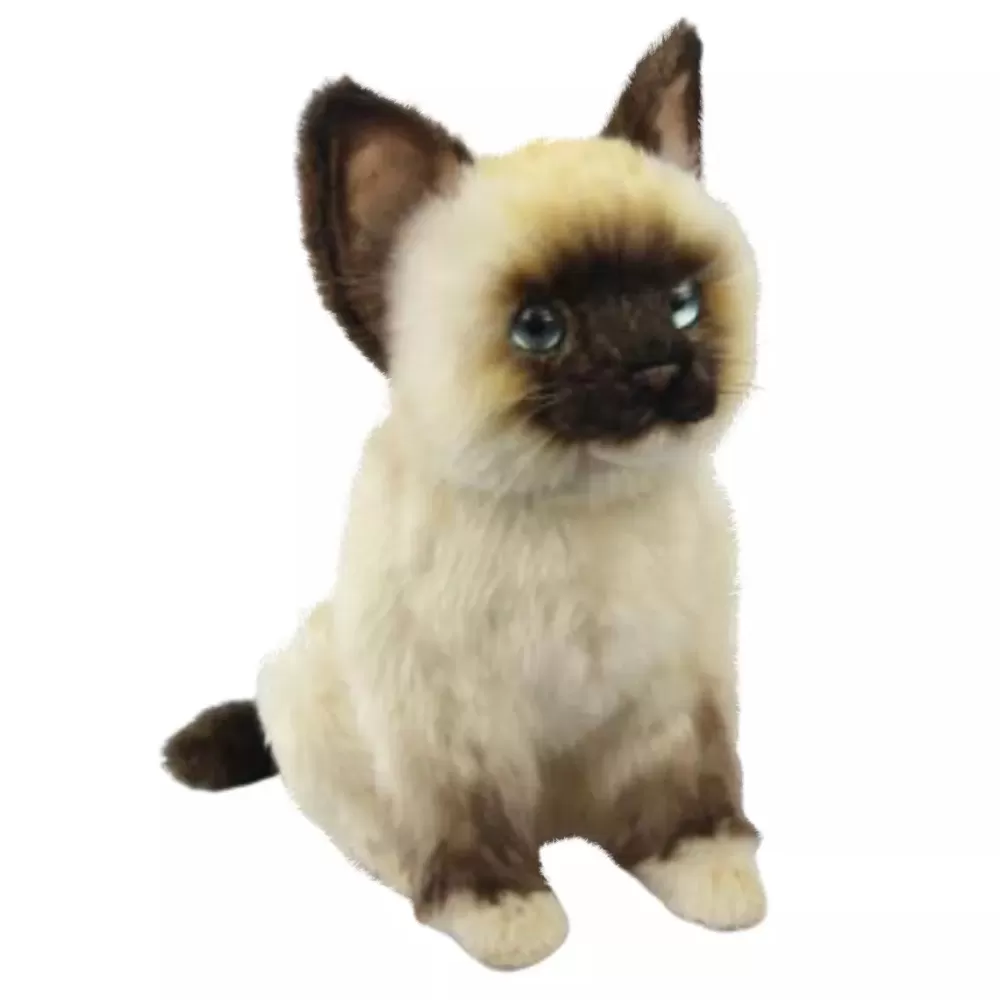 Toby | Rag Doll Kitten>The Teddy Bear Shop New